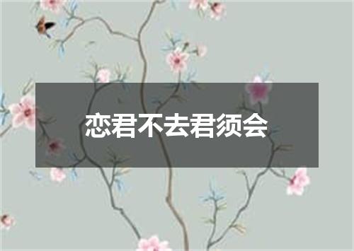 恋君不去君须会