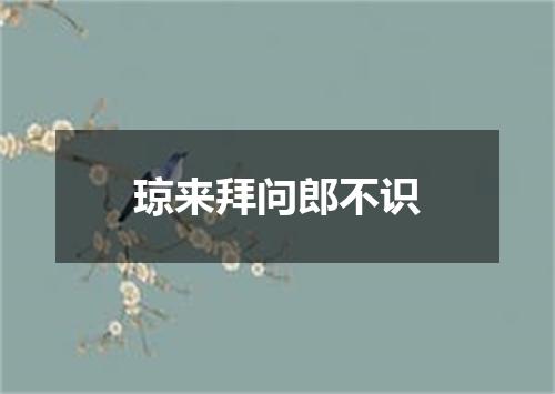 琼来拜问郎不识
