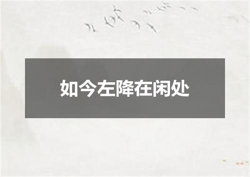 如今左降在闲处