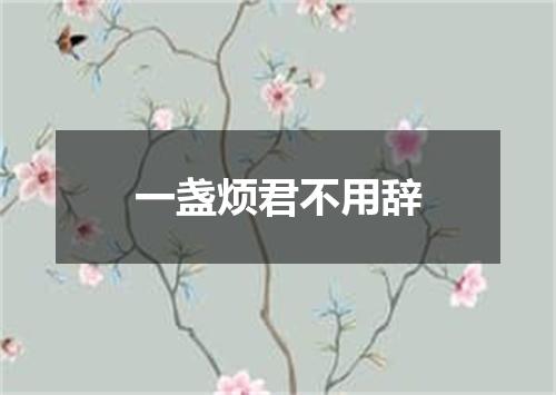 一盏烦君不用辞