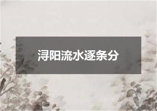 浔阳流水逐条分