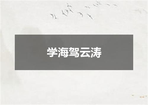 学海驾云涛
