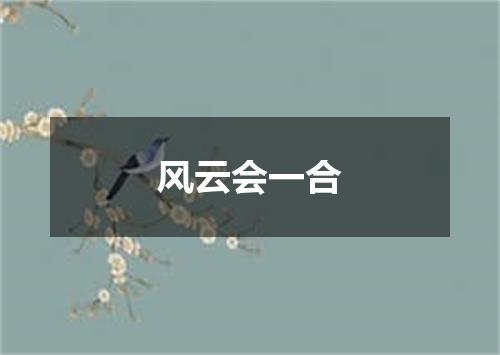 风云会一合