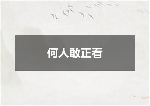 何人敢正看