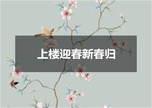 上楼迎春新春归