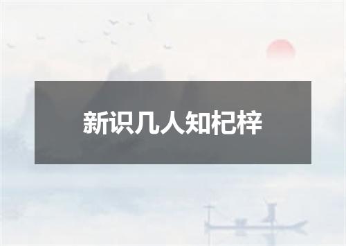 新识几人知杞梓