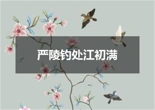 严陵钓处江初满