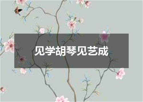 见学胡琴见艺成