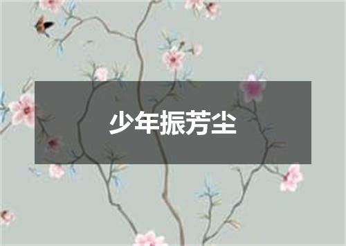 少年振芳尘