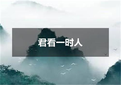 君看一时人