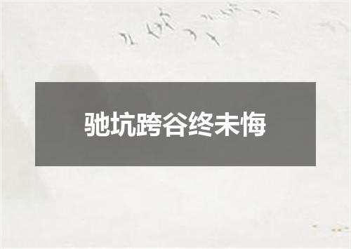 驰坑跨谷终未悔