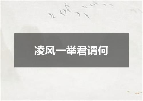 凌风一举君谓何