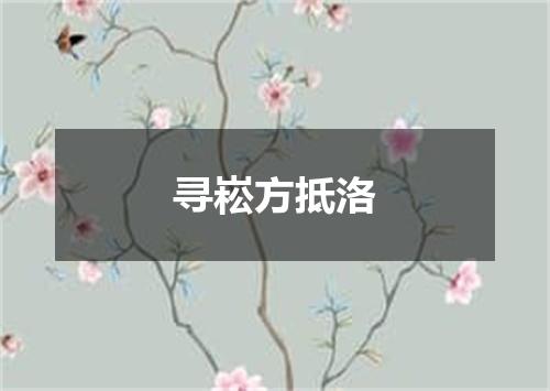 寻崧方抵洛