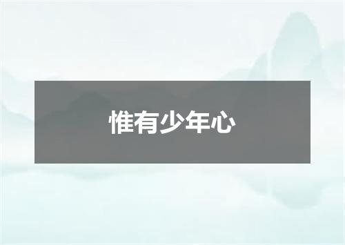 惟有少年心