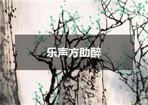 乐声方助醉