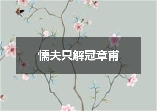 懦夫只解冠章甫