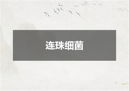 连珠细菌