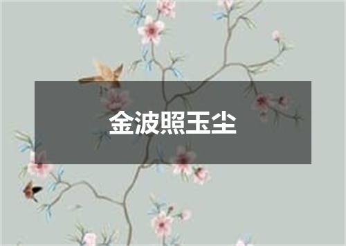 金波照玉尘