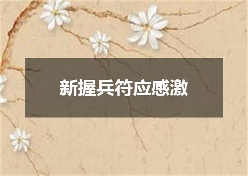 新握兵符应感激