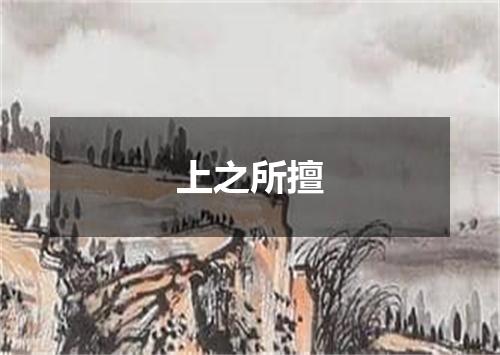 上之所擅