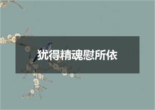 犹得精魂慰所依