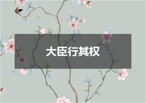 大臣行其权
