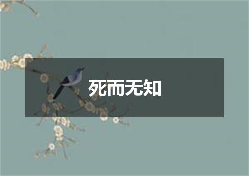 死而无知