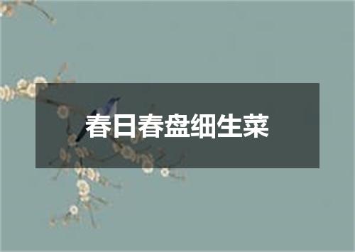 春日春盘细生菜