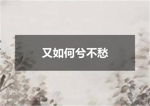 又如何兮不愁