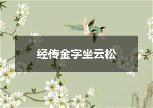 经传金字坐云松