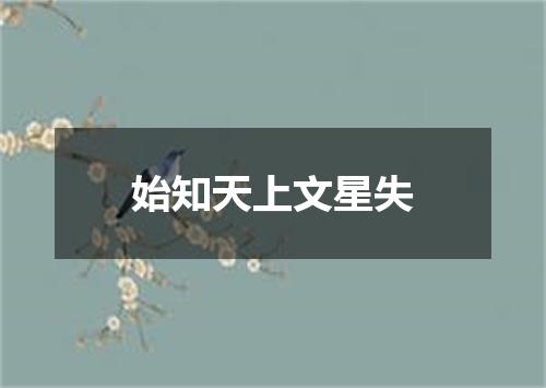 始知天上文星失