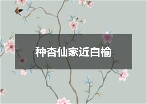 种杏仙家近白榆