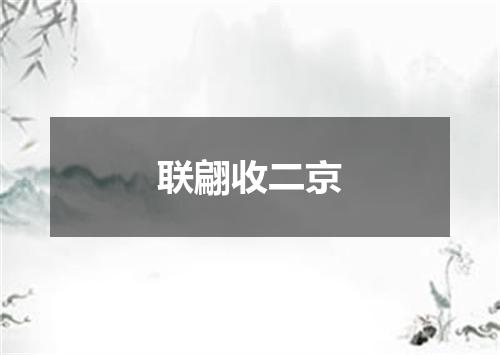 联翩收二京