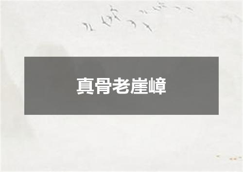 真骨老崖嶂