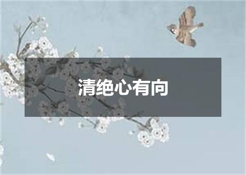 清绝心有向