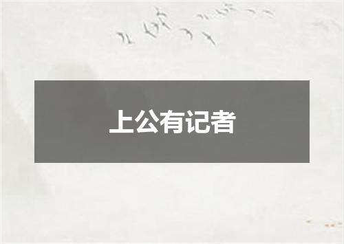 上公有记者