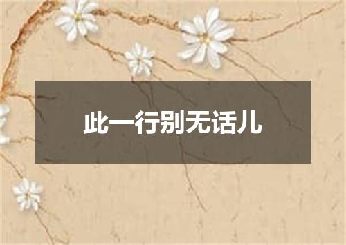 此一行别无话儿