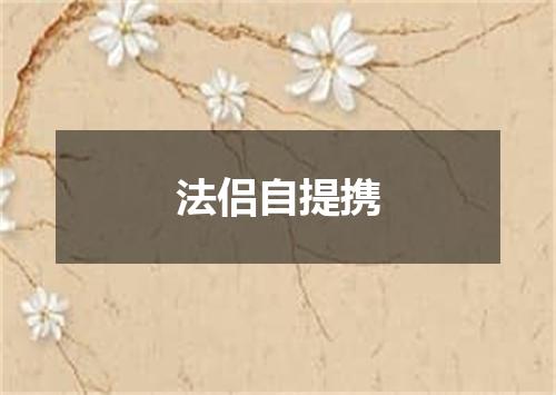 法侣自提携