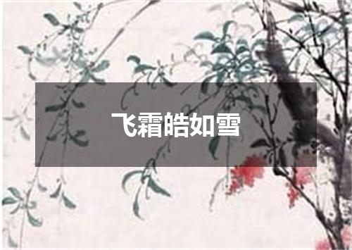飞霜皓如雪