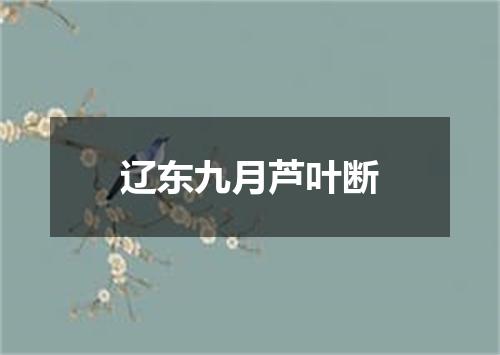 辽东九月芦叶断