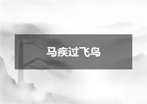 马疾过飞鸟