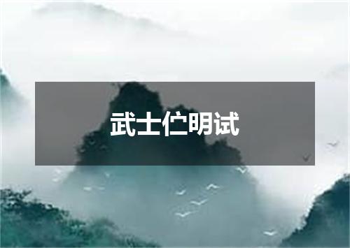 武士伫明试