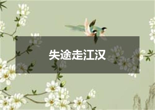 失途走江汉