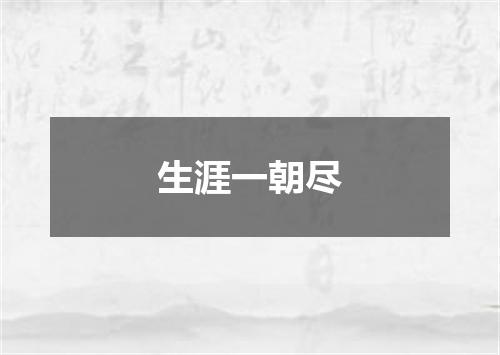 生涯一朝尽
