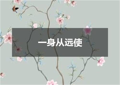 一身从远使