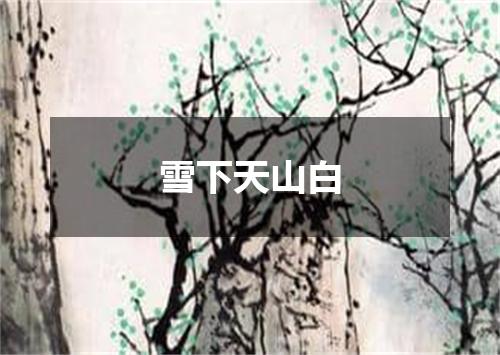 雪下天山白