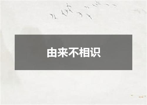 由来不相识
