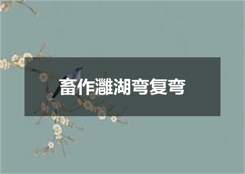 畜作灉湖弯复弯