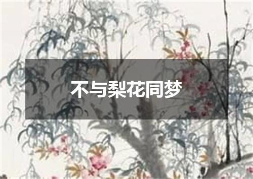 不与梨花同梦