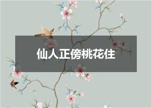 仙人正傍桃花住